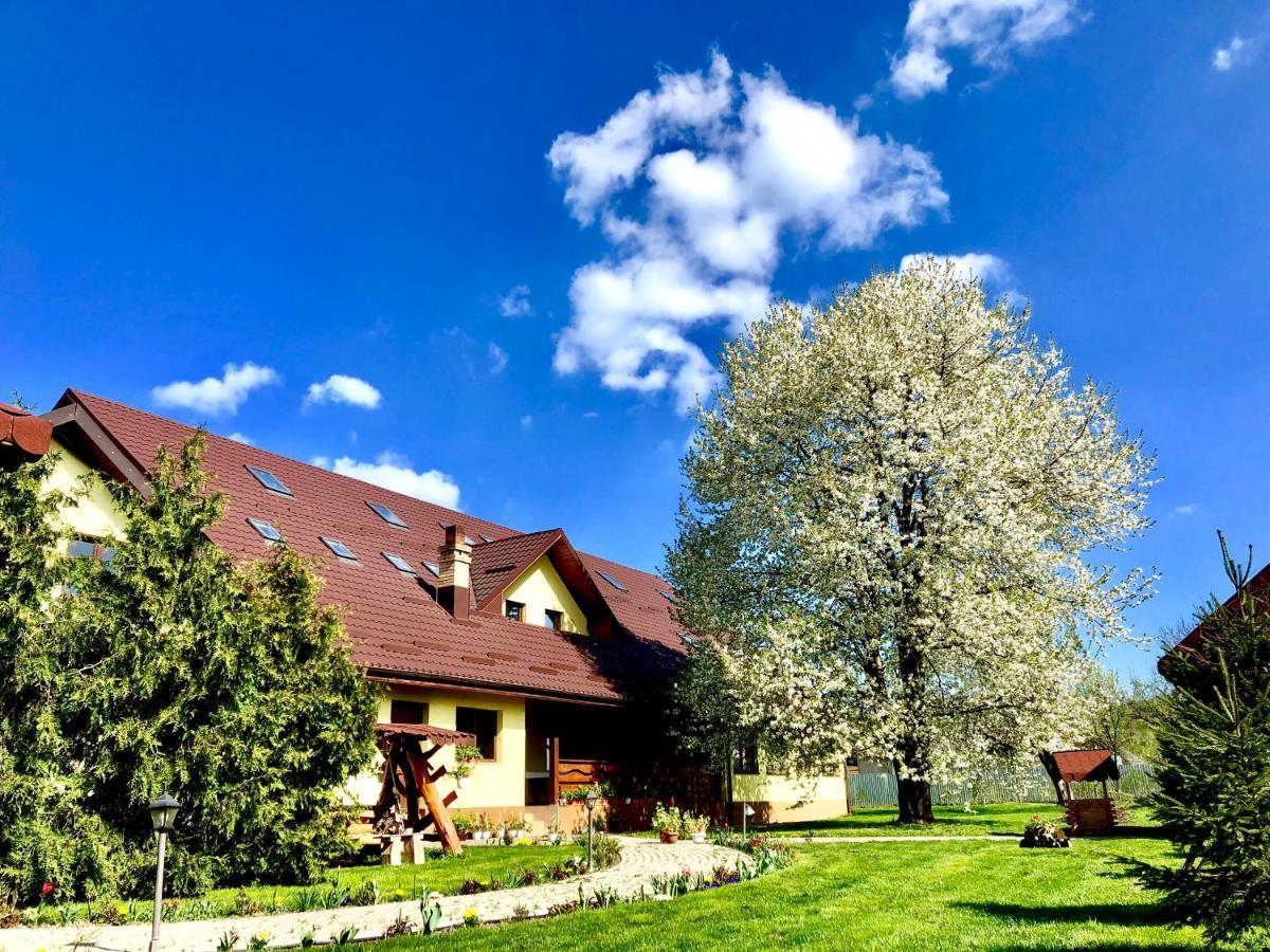 Bed and Breakfast Casa Galbena Arbore Zewnętrze zdjęcie